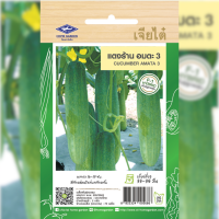 ราคา เมล็ดพันธุ์ แตงร้าน อมตะ 3 ตราเจียไต๋ (19600438783)