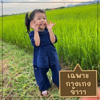 ราคา จันทร์ดีหม้อห้อม ชุดหม้อห้อมเด็ก เสื้อ กางเกง ซื้อแยกได้ (20149288011)