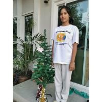 ราคา ต้นคริสต์มาส สีเขียว ขนาด Christmas Tree 120 150 180 เซนติเมตร สายรุ้งปีใหม่ ของตกแต่งคริสต์มาส พร้อมส่งจากไทย (20984762919)