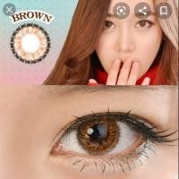 ราคา Sale ลด ล้าง สต๊อก สายตาสั้น 2 75 คละยี่ห้อ (20069215353)