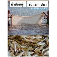 ราคา อวนลากปลา อวนลากกุ้ง แบบสำเร็จพร้อมใช้งาน เย็บเป็นถุงพร้อมเชือกลาก เนื้อยาว 4 เมตร (8630895984)