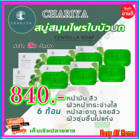 ราคา สบู่ใบบัวบก ชาริยา Chariya สบู่ชาริยา 6 ก้อน ของแท้ 100 คุมความมัน สิว ฝ้ากระและจุดด่างดำ หน้ากระจ่างใส ผิวนิ่ม สบู่ล้างหน้า (8041208530)
