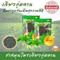 ราคา ชาเจียวกู่หลาน ชาสมุนไพร ปัญจขันธ์จากดอยอ่างขาง 100 กรัม สมุนไพรเพื่อสุขภาพ ดื่มทุกวันดีต่อสุขภาพ ชาสมุนไพร (9735006102)