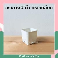 ราคา กระถางพลาสติก 2นิ้ว สี่เหลี่ยม พร้อมรูระบายน้ำ (17340875353)