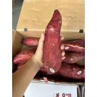 ราคา มันหวานตรา ZL ไซส์ Lจ้า กล่องละ 5 5 kg (19569604621)