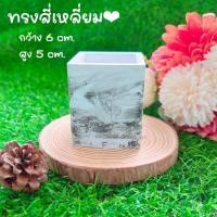 ราคา กระถางปูน กระถางลายหินอ่อน กระถางแคคตัส งานแฮนด์เมด (20611032709)