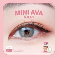 ราคา คอนแทคเลนส์ คิตตี้ คาวาอิ Mini Ava Gray (16786963637)