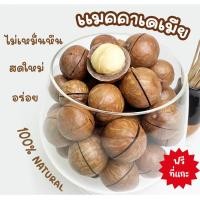 ราคา ถั่วอบ แมคคาเดเมีย พร้อมทาน 500g ขนมทานเล่น ของฝาก เพื่อสุขภาพ Macadamia nuts พร้อมส่ง (20552596453)