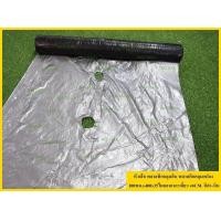 ราคา TREETOOLS หัวเสือ พลาสติกคลุมดิน พลาสติกคลุมแปลง 100ซม x400x35ไมคอนเจาะเดี่ยว 40CM สีดำ เงิน จัดส่งฟรี KERRY (425298538)