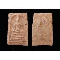 ราคา สมเด็จ บางขุนพรหม กรุใหม่ ฝากกรุ เจดีย์องค์เล็ก จอมพล ประภาส ลำปาง โชคลาภ อำนาจ วาสนา ร่ำรวย เมตตา (17984035538)