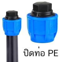 ราคา ฝา ปืดปลายท่อพีอีท่อ PE ท่อ พีอี ข้อต่อชนิดสวมอัด ทนแรงดัน 8บาร์ มีขนาด 20 63 mm (21307472630)
