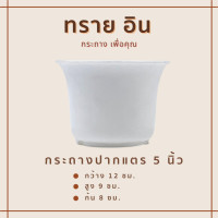 ราคา กระถางพลาสติก กระทางต้นไม้ กระถางปลูกต้นไม้ กระถางปากแตร ปากแตร 5 นิ้ว สีขาว 10 ใบ (18670027635)