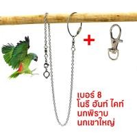 ราคา พร้อมส่ง โซ่คล้องขานก สายจูงนก โซ่นกแก้ว โซ่จูงนก โซ่สำหรับนกแก้ว ห่วงเปิดขานก ห่วงขานก ยาว 80 ซม สแตนเลส (21211447391)