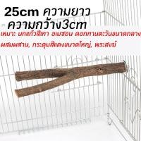 ราคา ไม้ค้ำเกาะนกแก้ว คอนลับเล็บ คอนกิ่งไม้ ยาว15 20 25cm ลับเล็บ สำหรับนก คอนไม้ธรรมชาติ คอนนกแก้ว ที่ลับเล็บนก (21065874719)