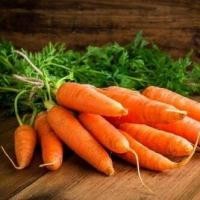 ราคา เมล็ดพันธุ์ เบบี้แครอท 40 550 เมล็ด คัดพิเศษ ซื้อ 10 แถม 1 คละรายการได้ ปลูกง่าย โตไว (10697292363)