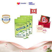 ราคา Bundle Pack Doublemint ลูกอมดับเบิ้ลมิ้นต์ รสสเปียร์มินต์ 12 4 กรัม x3 10184163 B (21340591693)