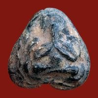 ราคา พระปิดตา หลวงปู่ศุข วัดปากคลองมะขามเฒ่า (21305331951)