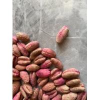 ราคา 10 เมล็ดอินทผาลัมแท้ อินทผาลัมสายพันธุ์อัสก้า Seed date palm Asgar เมล็ดแท้จากต้นเพาะเนื้อเยื้อ (12121957183)