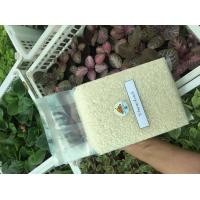 ราคา ข้าวหอมมะลิ ข้าวขาวอร่อย จากบ้านสวนเชียงราย กกละ 89 บาท (9564385863)