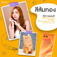 ราคา ครีมย้อมผม เบอริน่า สีส้มทอง ปรับพื้นผมสว่างระดับ 8 บลอนด์อ่อน ใช้สีเบอริน่าเบอร์ A19 1 หลอด (11115704930)