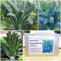 ราคา เมล็ดพันธุ์ เคลลาชินาโต Lacinato Kale Seed 400 เมล็ด คุณภาพดี ราคาถูก ของแท้ (2500286072)