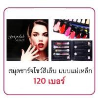 ราคา สมุดชาร์จโชว์สีเล็บ แบบแม่เหล็ก ดึงเล็บออกได้ ดีไซน์เก๋มาก ไม่ต้องใช้กาว 120เบอร์ (8314241833)