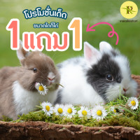 ราคา หญ้าแพงโกล่าแห้ง กระต่าย แฮมสเตอร์ ซื้อ 1 แถม 1 ทุกขนาด (21014261249)