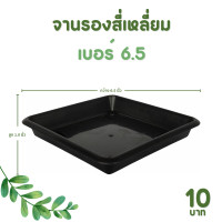 ราคา กระถาง จานรอง กระถางต้นไม้ กระถางสี่เหลี่ยม จานรองสี่เหลี่ยม เบอร์ 6 6 5 7 นิ้ว สีดำ สีขาว สีเทา (20896204869)