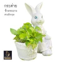 ราคา กระต่าย ข้างกระถาง กระถาง ปูนปั้น จัดสวน ประดับสวน แต่งสวน ใส่ต้นไม้ (10190003438)