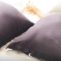 ราคา LOFTYSOFT ปลอกหมอน TENCEL100 500เส้นด้าย PRIMO COLLECTION (21268887295)