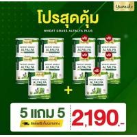 ราคา 5 แถม 5 ส่งฟรี ยูมิโกะ วีทกราส อัลฟาฟ่า คลอโรฟิลล์ ไฟเบอร์ ดีท็อก ลำไส้ สารพิษ ปริมาณ 200 กรัม Wheatgrass Alfalfa yumiko 200 g (19926123184)