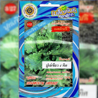 ราคา เมล็ดพันธุ์ กะหล่ำ ปูเล่เขียว 4 ทิศ ตราสี่ทิศ (19602541388)