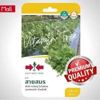 ราคา เมล็ดพันธุ์ ผักชีสายสมร 1000เมล็ด ตราศรแดง (19262125215)