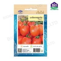 ราคา เมล็ดพันธุ์มะเขือ มะเขือเจ้าพระยา มะเขือไข่เต่าขาว มะเขือเปราะจาว มะเขือยาว มะเขือคางกบรักบี้ มะเขือเทศ เจียไต๋ (18534242165)