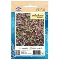 ราคา เมล็ดผักใบ กระเพรา โหระพา แมงลัก ผักเสี้ยน ผักชีลาว ผักชี ผักโขมใบกระ ผักโขมแดง ผักกาดหอมเมล็ดขาว ผักกาดหอม เจียไต๋ (19851385547)