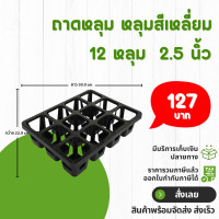 ราคา กระถาง กระถางต้นไม้ ถาดหลุม สี่เหลี่ยม เบอร์ 2 2 5 3 นิ้ว 12 18 30 40 หลุม สีดำ สีขาว สีเทา สีอิฐ (20845402246)