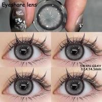 ราคา Eyeshare lens คอนแทคเลนส์ GALAXY Pink คอนแทคเลนส์สี กรองแสง คอนแทคเลนส์ mini คอนแทคเลนส์รายปี คอนแทคเลนส์ เทา 1คู่ 2ชิ้น ฟรีกล่อง (21074789536)