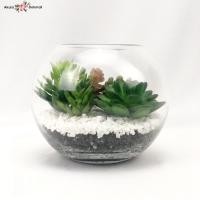 ราคา สวนโหลแก้ว แคคตัสปลอม เทอราเรี่ยม แคคตัสพร้อมโหลแก้ว (2735514869)