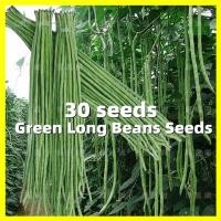 ราคา เมล็ดพันธุ์ ถั่วฝักยาว Green Long Beans Seeds อัตรางอกสูง 30เมล็ด ซอง เมล็ดถั่วฝักยาว เมล็ดพันธุ์ถั่วฝักยาว High Yield Cowpea Vegetable Seeds Long Beans Vegetable Plants เมล็ดพันธุ์ถั่ว เมล็ดพันธุ์ผัก