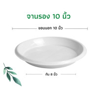 ราคา จานรองกระถาง ถาดรองกระถาง จานรองกระถางต้นไม้ ถาดรองกระถางต้นไม้ จานรองพลาสติก จานรองกระถางพลาสติก 6นิ้ว 8นิ้ว 10นิ้ว 12นิ้ว 15นิ้ว 17นิ้ว (13962526653)