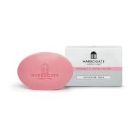 ราคา สบู่ Harrogate Sulphur Soap สบู่ ฮาร์โรเกต 50กรัม (19486554501)