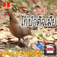 ราคา No 1 Shop เสียงต่อไก่ป่าตัวเมีย แฟลชไดร์ฟ USB ต่อไก่ป่าตัวเมีย เสียงดังฟังชัด เสียงนกแท้ เสียงดังฟังชัด100 เข้าง่ายติดง่าย (21086250805)