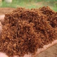 ราคา ขุยมะพร้าวผสมไตรโคเดอร์ม่า ละเอียดสำหรับเพาะปลูกต้นไม้ หรือผสมวัสดุปลูก ตอนหรือชำกิ่ง แบ่งขายราคาถูก (5419078748)