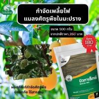 ราคา กำจัดแมลงศัตรูพืช ยาฆ่าเพลี้ยไฟ ในมะปราง มะยงชิด และ พืชทุกชนิด บิวทาเร็กซ์ โดย ไดโนเร็กซ์ (17763577156)