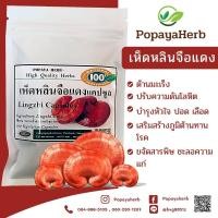 ราคา เห็ดหลินจือแดงผง 100 แคปซูล สมุนไพร100 (18559612345)