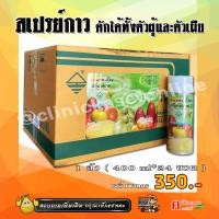 ราคา ขายยกลัง สเปรย์กาว กาวดักแมลง สารล่อแมลงวันทอง แมลงวันผลไม้ ผสมฟีโรโมนล่อแมลงในตัว ดักได้ทั้งตัวผู้และตัวเมีย 24 ขวด 400 ml (4008000038)