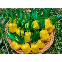 ราคา เหรียญโปรยทาน ตัวเปล่า10ชิ้น โปรยทานงานบวช โปรยทานสำเร็จรูป (19105110373)