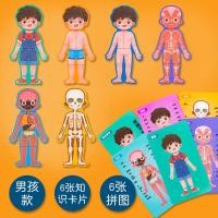 ราคา เด็กสาว Montessori การศึกษาองค์ความรู้โครงสร้างร่างกายปริศนาไม้ของเล่นเพื่อการศึกษา (16320421786)