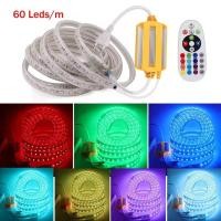 ราคา ไฟแถบไฟ LED AceDeal 5050 RGB มีรีโมทคอนโทรล แถบ RGB กันน้ำกลางแจ้ง220V (19523982597)