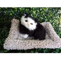 ราคา ที่ดูดกลิ่นอับในรถยนต์ ตุ๊กตาดับกลิ่นรถ ตุ๊กตาน้องแมวเหมือนจริง น้องแมวดูดกลิ่นแบบนั่ง มีหลายลาย (8354435117)